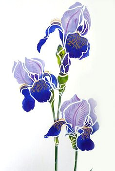 Drawings Of Iris Flowers 245 Best Iris Images In 2019 Painted Flowers Iris Painting Silk