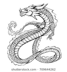 Drawings Of Japanese Dragons 8 Best Dragon Images Japanese Dragon Drawings Dragon Head