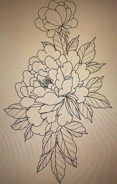 Drawings Of Japanese Flowers 30 Best Japanese Peony Images Ink Peonies Tattoo Tattoo Sketches