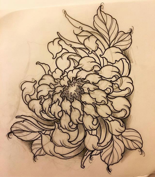 Drawings Of Japanese Flowers Chrysanthemum for Friday Tattoo Tattooart Tattooartist