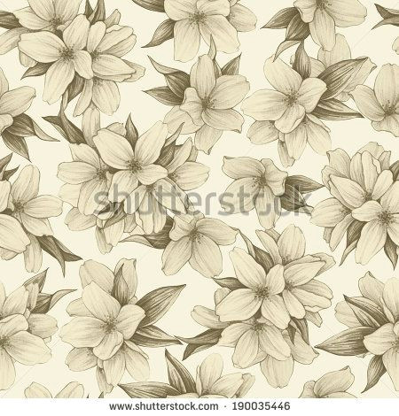 Drawings Of Jasmine Flower Jasmine Flower Vintage Google Search Tattoo Tattoos Jasmine