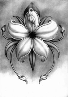 Drawings Of Jasmine Flowers Jasmine Flower Drawings Bing Images Finishes Tattoos Jasmine