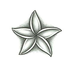 Drawings Of Jasmine Flowers Jasmine Flower Drawings Bing Images Finishes Tattoos Jasmine
