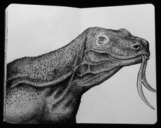 Drawings Of Komodo Dragons 20 Best Komodo Dragon Images Komodo Dragon Lizards Reptiles