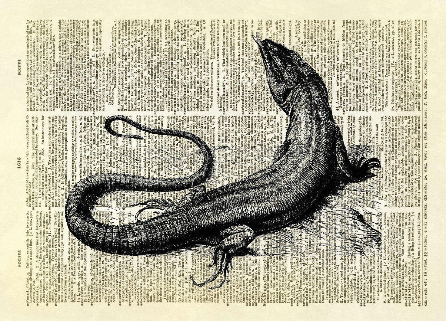 Drawings Of Komodo Dragons Komodo Dragon Lizard Dictionary Art Print Komodo Dragon Komodo