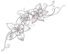 Drawings Of Larkspur Flower 35 Best Larkspur Tattoo Images Larkspur Tattoo Tattoos Larkspur