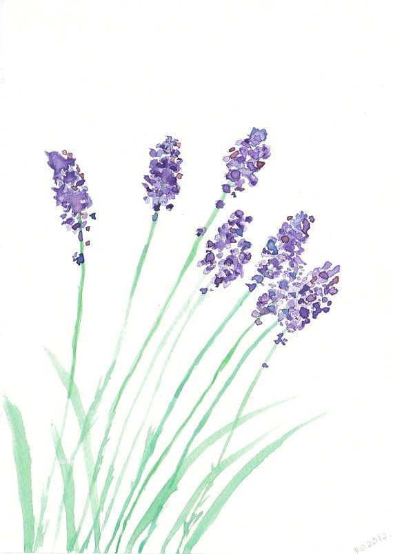 Drawings Of Lavender Flowers Pin by the Fantasmagorical Geek On Art Drawing In 2018 Pinterest