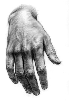 Drawings Of Left Hands 140 Best Drawings Of Hands Images Pencil Drawings Pencil Art How
