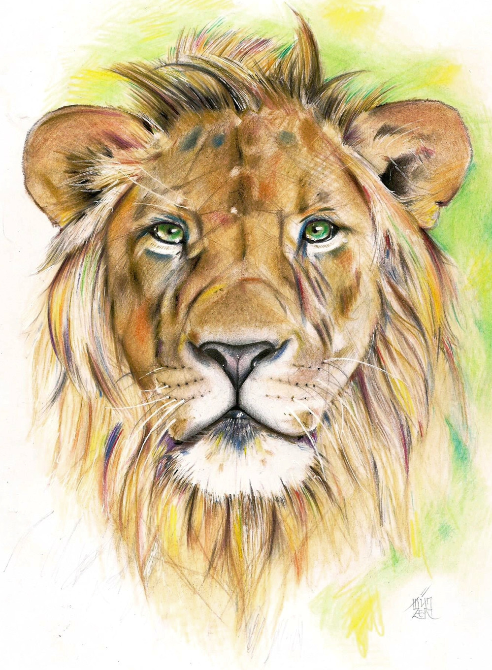 Drawings Of Lion Eyes Colored Pencils Drawing A4 Lion Art In 2018 Pinterest Pencil