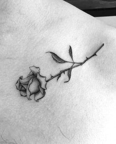 Drawings Of Little Roses 96 Best Rose Drawing Tattoo Images Rose Drawing Tattoo Tattoo