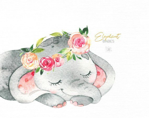 Drawings Of Little Roses Elephant Babies Watercolor Little Animal Clipart Africa Flower