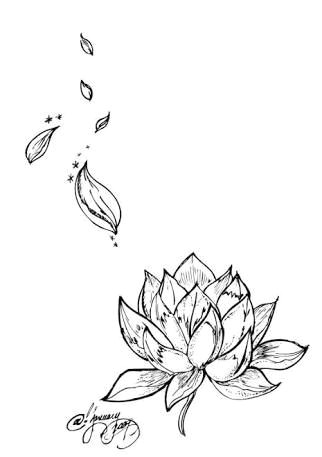 Drawings Of Lotus Flower Image Result for Unalome Lotus Flower Meaning Lotus Flower Tattoo