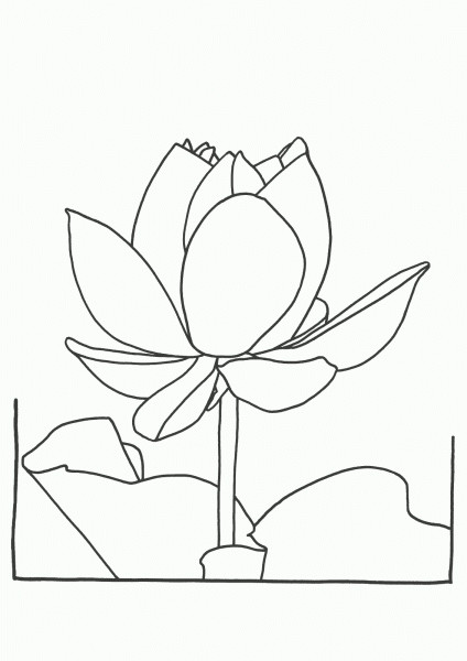 Drawings Of Lotus Flower Printable Lotus Flower Coloring Pages Coloring 3 Coloring Pages