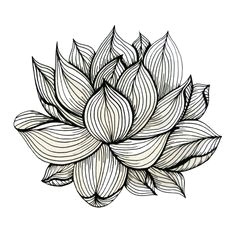 Drawings Of Lotus Flowers Pictures 38 Best Lotus Drawing Images Lotus Flower Silk Painting Chinese Art