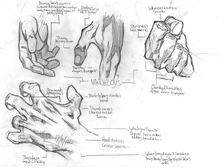 Drawings Of Male Hands Hand Study by thetrainingartist On Deviantart Manos Brazos
