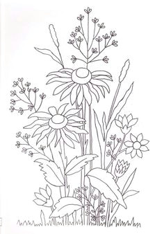 Drawings Of Meadow Flowers 28 Best Line Drawings Of Flowers Images Flower Designs Drawing