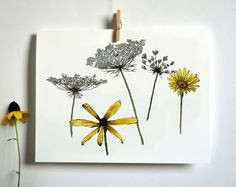 Drawings Of Meadow Flowers 28 Best Wildflower Sketches Images Meadow Flowers Beautiful