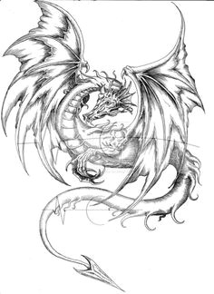 Drawings Of Medieval Dragons 118 Best Dragons Images Dragon Art Drawings Fantasy Dragon