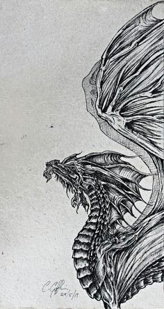 Drawings Of Medieval Dragons 675 Best Dragons In Black and White Mostly Images Dragon