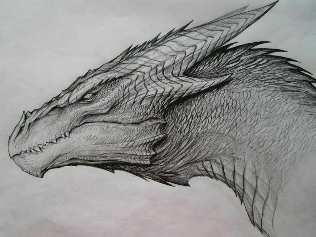 Drawings Of Medieval Dragons Image Result for Dragon Drawing Art Inspiration Dragon Sketch