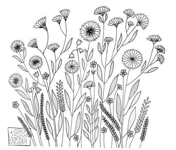 Drawings Of Mexican Flowers Embroidery Pattern From Mustrilaegas B Tikkimine Embroidery Via