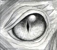 Drawings Of Monster Eyes 102 Best Dragon Eye Value Drawing Images In 2019 Dragon Eye