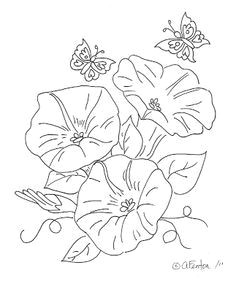 Drawings Of Morning Glory Flowers 46 Best Morning Glory Flower Tattoo Outline Images Flower Designs