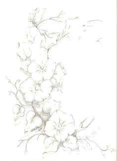 Drawings Of Morning Glory Flowers 46 Best Morning Glory Flower Tattoo Outline Images Flower Designs