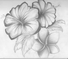 Drawings Of Multiple Flowers 28 Best Line Drawings Of Flowers Images Flower Designs Drawing