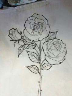 Drawings Of Open Roses 29 Best Rose Drawings Images 3 Roses Tattoo Rose Drawings Tattoo