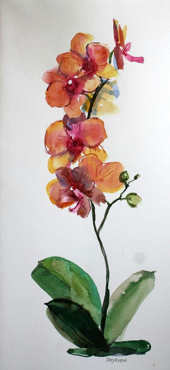 Drawings Of orchid Flower orchid Watercolor Set Of 3 original Illustration Floral Painting