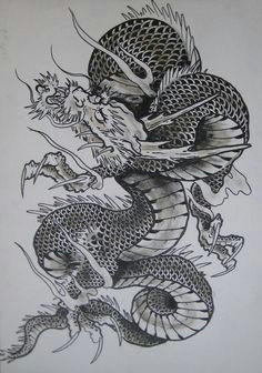Drawings Of oriental Dragons 245 Best Japanese Dragons Images Japanese Dragon Tattoos Japanese