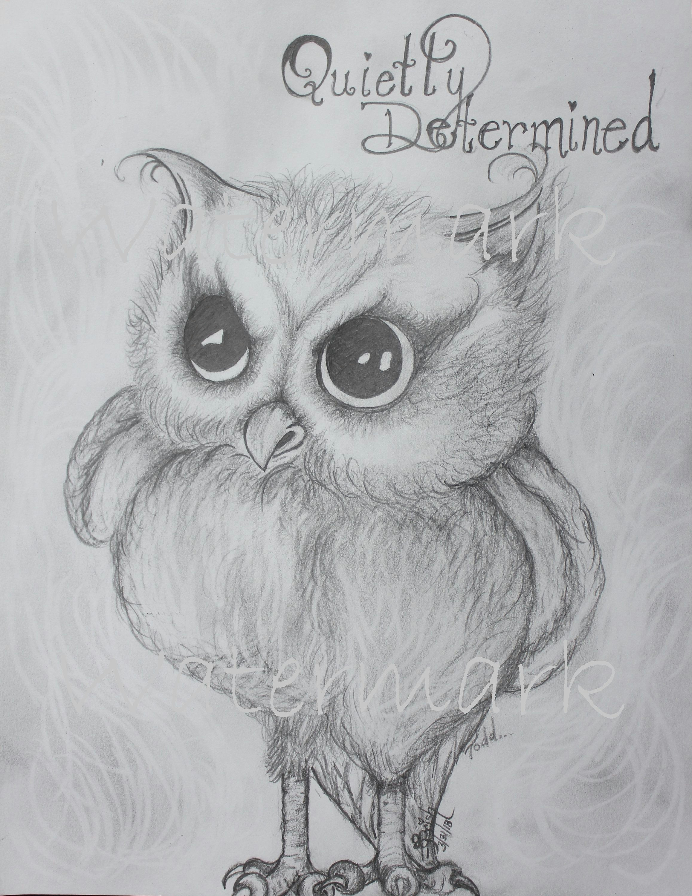 Drawings Of Owl Eyes Cute Quietly Determined Owl Cute Owl Print Determined Owl Sketch