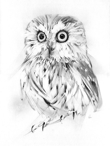 Drawings Of Owl Eyes Wise Owls Art Art Prints Owl Art