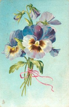 Drawings Of Pansy Flowers 491 Best Pansy Flowers Art Images Flower Art Painted Flowers Pansies