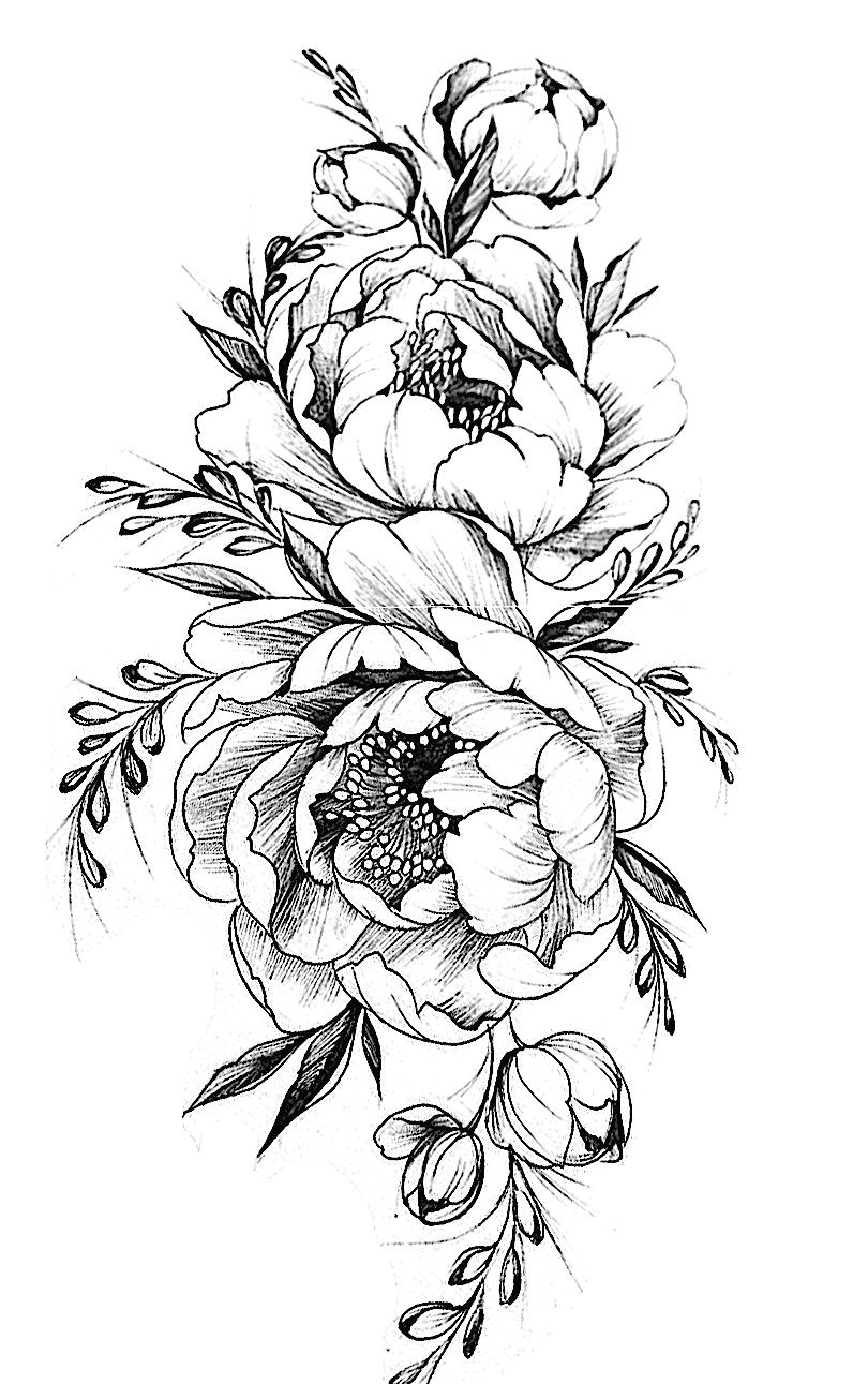 Drawings Of Peonies Flowers Tattoovorlage Zeichnen Pinterest Tattoos Flower Tattoos Und