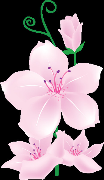 Drawings Of Pink Flowers Light Pink Flowers Clipart Drawings Motive