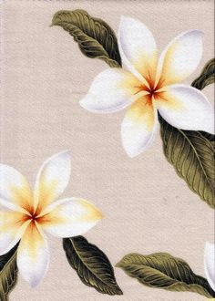 Drawings Of Plumeria Flower 192 Best Plumeria Images In 2019 Beautiful Flowers Hawaiian