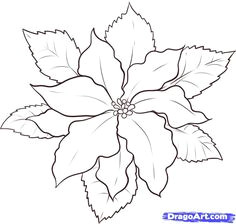 Drawings Of Poinsettia Flower 1584 Best Poinsettia Images In 2019 Christmas Cards Xmas Cards
