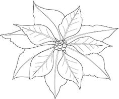 Drawings Of Poinsettia Flower 342 Best Poinsettia S Images In 2019 Painting On Fabric Vintage