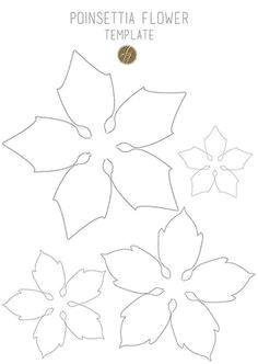 Drawings Of Poinsettia Flowers Diy Paper Poinsettia Free Template Paper Template Pinterest
