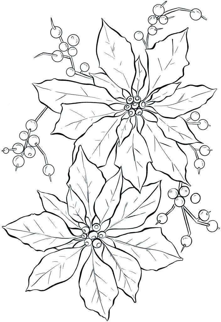 Drawings Of Poinsettia Flowers Poinsettia Line Art Christmas Card Ideas Christmas Coloring