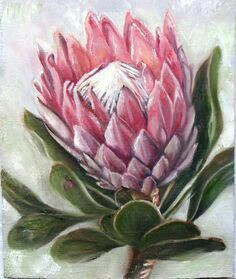 Drawings Of Protea Flowers 591 Best Protea Pincushion Leucadendron Fynbos Images Art