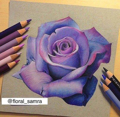 Drawings Of Purple Flower Photo In 2019 Coloring Pencil Drawings Drawings Art