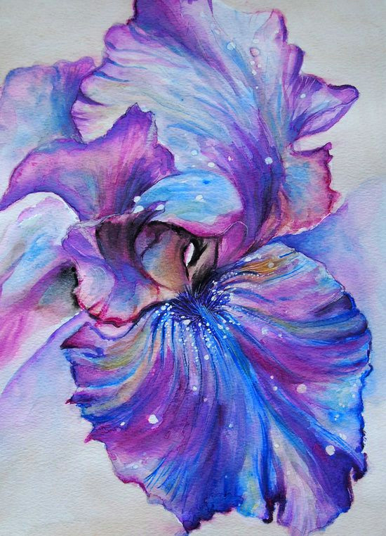Drawings Of Purple Flowers Iris Art Print Were I to Ever Get A Galaxy Tattoo I Would Base