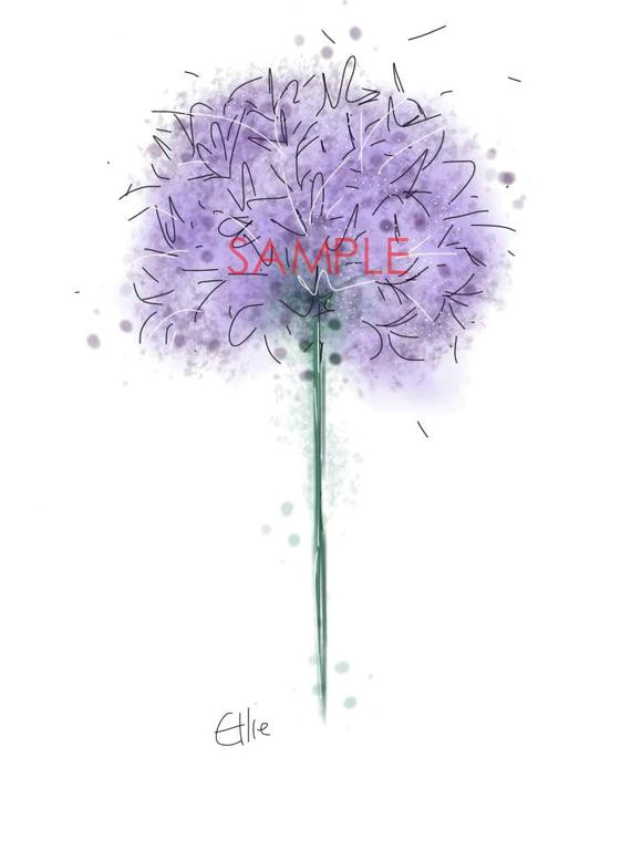Drawings Of Purple Flowers Mounted Allium Print Allium Print Allium Drawing Etsy