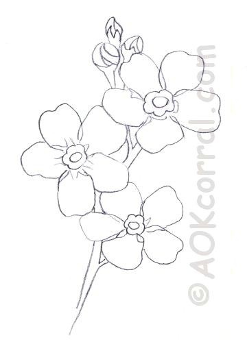 Drawings Of Purple Flowers Pin by Lild A On Tattoos Tattoos Flowers Flower Tattoos