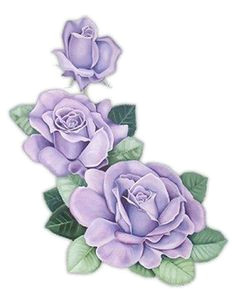 Drawings Of Purple Roses 317 Best Scrap 2 Images Drawings Flowers Birds