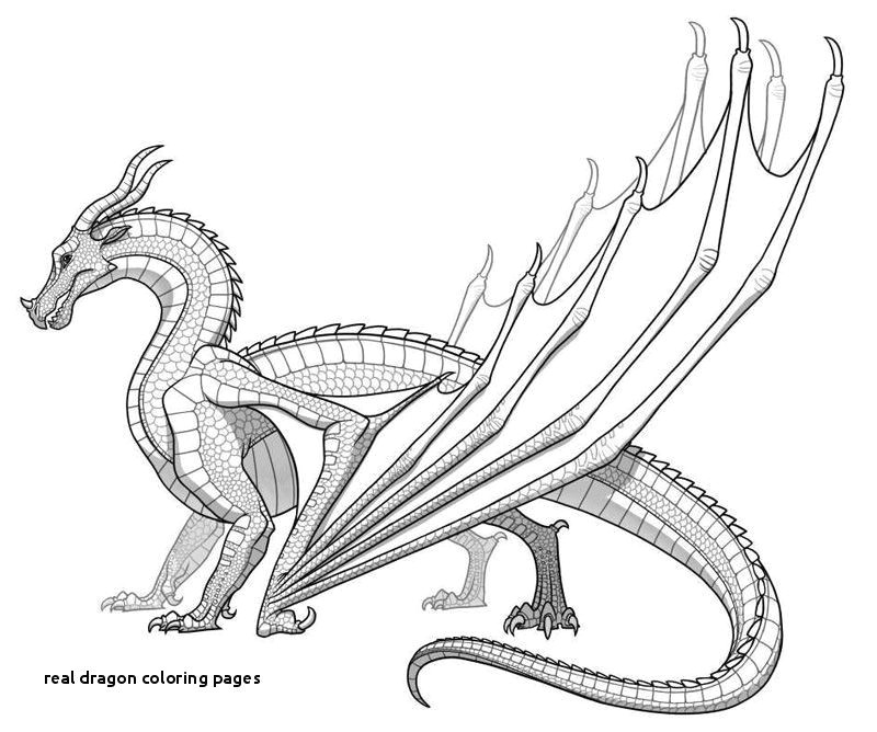 Drawings Of Real Dragons Dragon Coloring Pages Elegant Coloring Page A Dragon Leprechaun