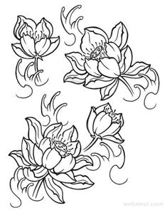 Drawings Of Real Flowers 6039 Best Flower Drawings Images In 2019 Flower Line Drawings